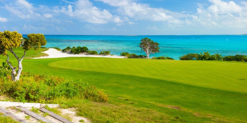 A wide, panoramic view of a lush golf course by the sea, featuring vibrant green fairways framed by natural vegetation and sand bunkers. A few scattered trees offer shade, and the clear turquoise ocean extends to the horizon under a bright blue sky.